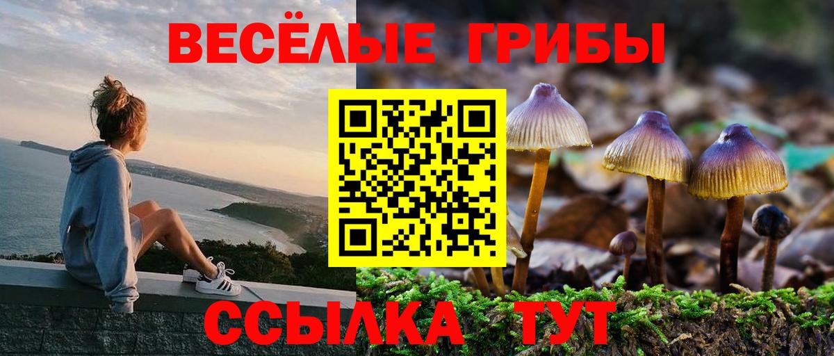 Галлюциногенные грибы Psilocybine cubensis  Вход с VPN  где можно купить наркотик  Тимашёвск 
